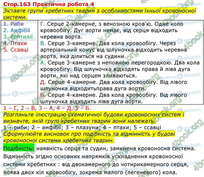 ГДЗ Биология 7 класс страница Стр.163 (ПР)